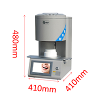 porcelain furnace